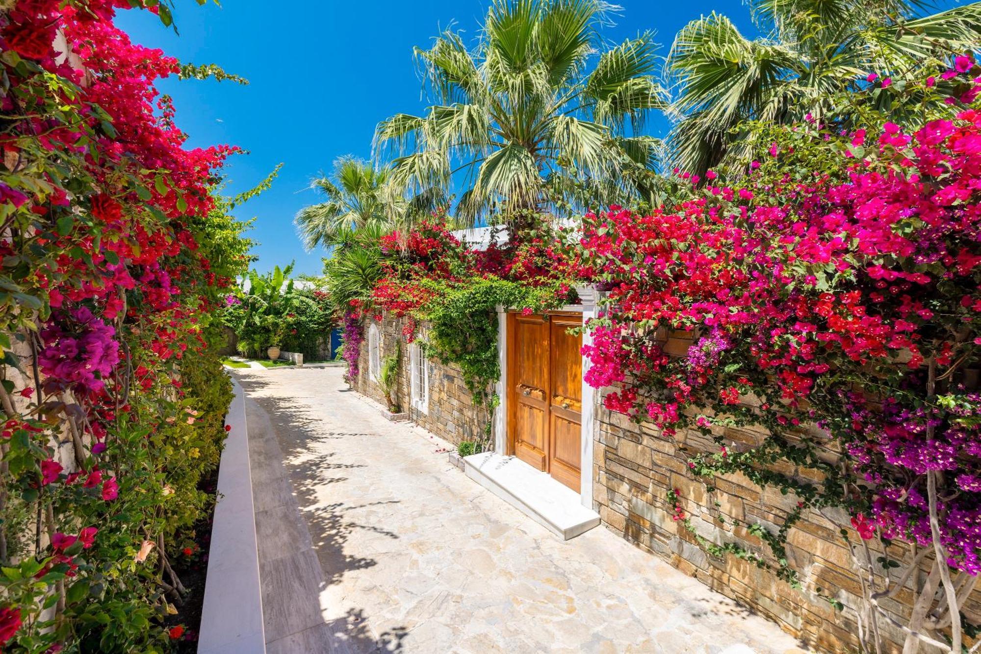 Porto Zante Villas And Spa Трагаки Экстерьер фото